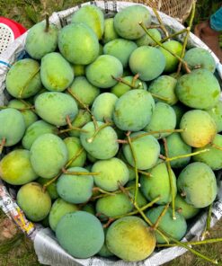 12 kg সারাদেশে পয়েন্ট ডেলিভারি