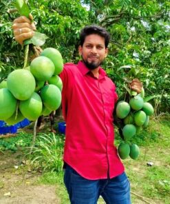 হিমসাগর 7 kg সারাদেশে হোম ডেলিভারি