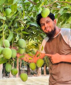 হিমসাগর 12 kg সারাদেশে পয়েন্ট ডেলিভারি