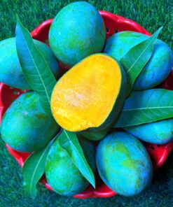 আমের কম্বো প্যাকেজে 12 Kg