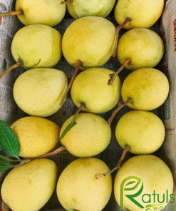 গৌড়মতি আম (Gouromoti Mango) 10 Kg