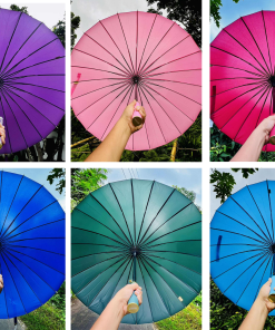 24 Stick Umbrella (২৪ স্টিকের ছাতা)