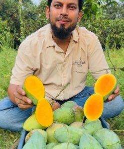 আমের কম্বো প্যাকেজে 10 Kg (পয়েন্ট ডেলিভারি)